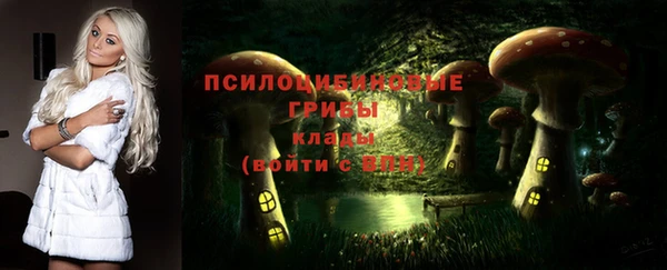 стафф Гусиноозёрск