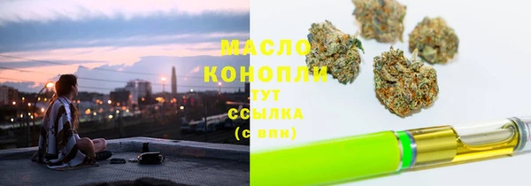 крисы Елабуга