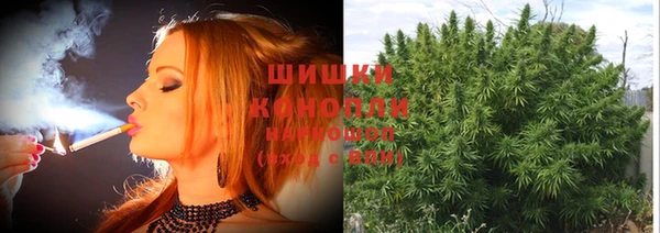 mdma Ельня