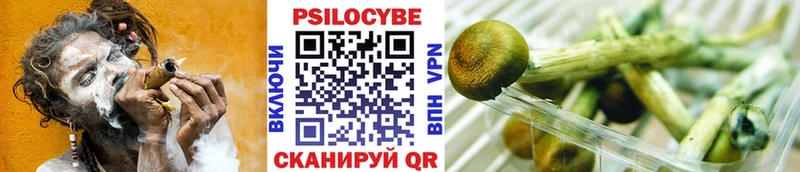 Галлюциногенные грибы Cubensis  гидра рабочий сайт  Клин  продажа наркотиков 